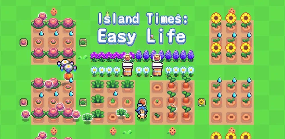 Island Times: Easy Life